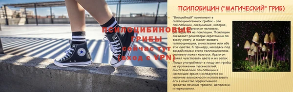 бошки Корсаков